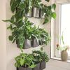 LECHUZA Urtekasser 3 stk Green Wall Home Kit blank antrasitt
