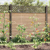 Miniatyrbilde av produktet 2 av 11
