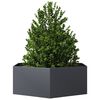 Miniatyrbilde av produktet 3 av 10