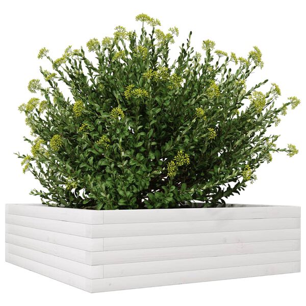 Viser 4 av 10 produktbilde(r)
