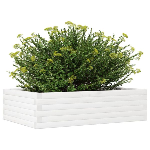 Viser 4 av 10 produktbilde(r)
