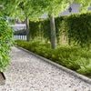 Miniatyrbilde av produktet 2 av 9