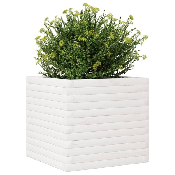 Viser 4 av 10 produktbilde(r)