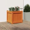 Miniatyrbilde av produktet 3 av 11