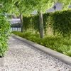 Miniatyrbilde av produktet 2 av 9