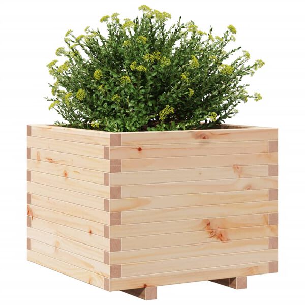 vidaXL Plantekasse 60x60x49,5 cm heltre furu