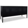 vidaXL TV-benk 118x40x60 cm svart