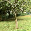 Miniatyrbilde av produktet 2 av 7