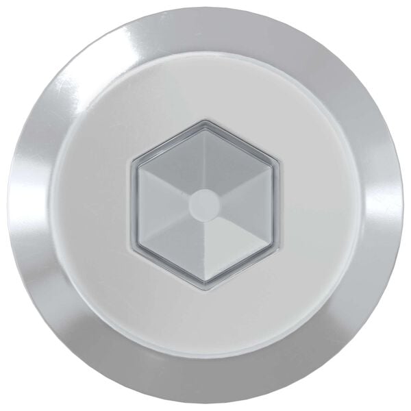 vidaXL M&oslash;belskruer 2 pcs s&oslash;lv M6 x 100 mm St&aring;l