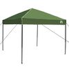 vidaXL Canopy telt gr&oslash;nn 243 x 243 x 251 cm stoff