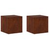 vidaXL Planteholder 2 pcs Rusten 40 x 40 x 40 cm Cortenst&aring;l