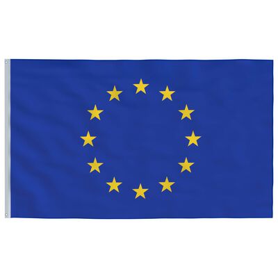 vidaXL Europeisk flagg og stang 5,55 m aluminium