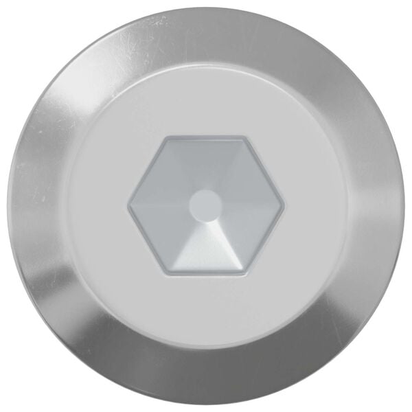 vidaXL Skrue 2 pcs s&oslash;lv M6 x 60 mm St&aring;l