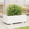 vidaXL Plantekasse hvit 70x40x26,5 cm heltre furu
