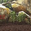 Miniatyrbilde av produktet 2 av 5