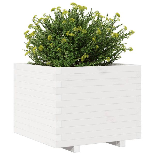 vidaXL Plantekasse hvit 60x60x49,5 cm heltre furu