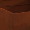 vidaXL B&aring;lplass Brun 80 x 80 x 43 cm Cortenst&aring;l