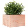 vidaXL Plantekasse 70x70x46 cm heltre douglasgran