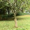 Miniatyrbilde av produktet 2 av 7