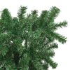 Miniatyrbilde av produktet 11 av 15