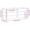 vidaXL Plantekasse 150x50 cm heltre furu