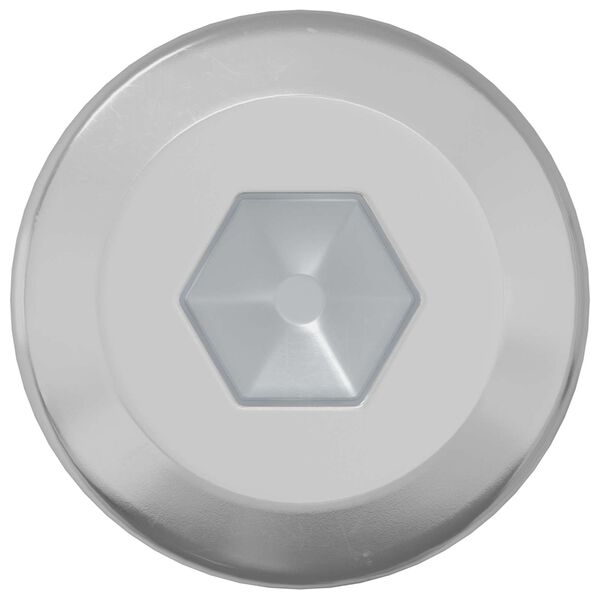 vidaXL L&aring;seskrue Ensfarget 2 pcs s&oslash;lv M6 x 12 mm St&aring;l