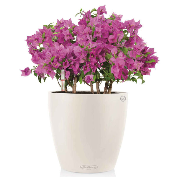 LECHUZA Plantekasse Classico Color 28 ALL-IN-ONE høyglans hvit 13190