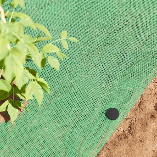 vidaXL Plast plugger 500 pcs Svart &Oslash;3 x 11 cm Plast