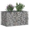vidaXL Gabion hevet seng s&oslash;lv 100 x 60 x 55 cm Galvanisert St&aring;l