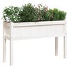 vidaXL Plantekasse med ben hvit 110x31x70 cm heltre furu