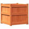 vidaXL Plantekasser 2 stk brun heltre furu