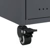 Miniatyrbilde av produktet 12 av 14