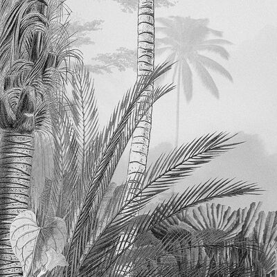 Komar Veggmaleri Lac Tropical Black & White 200x270 cm