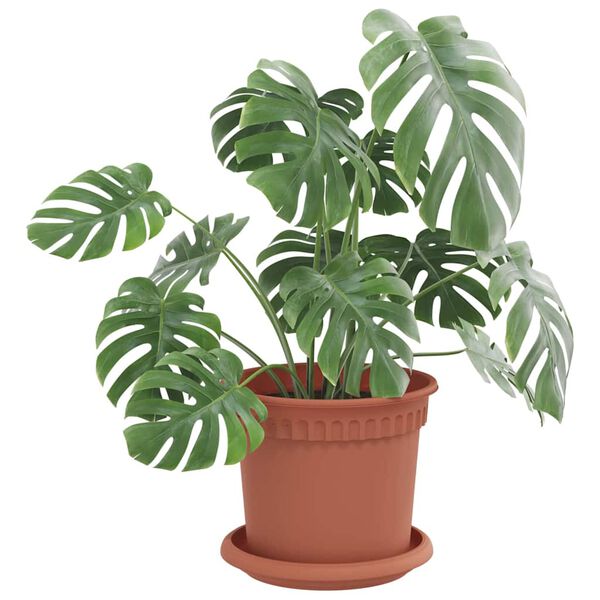 vidaXL Rundt Blomsterbrett 6 pcs Klinker R&oslash;d &Oslash; 14 x 2 cm Plast