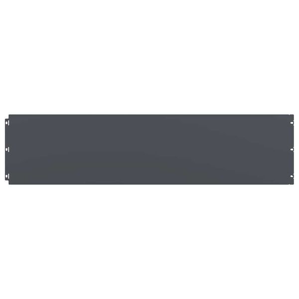 vidaXL Plenkanter 10 stk antrasitt 25x103 cm kaldvalset st&aring;l