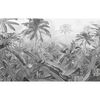 Komar Veggmaleri Amazonia 400x250 cm svart og hvit