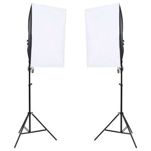 vidaXL Profesjonelle studiolys 2 stk 40x60 cm