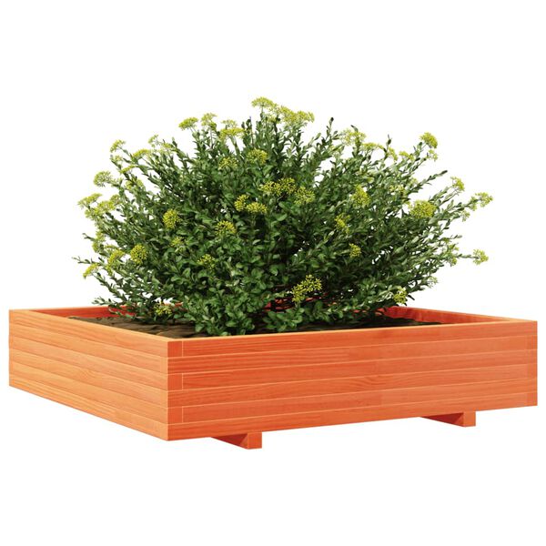 Viser 4 av 10 produktbilde(r)