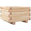 vidaXL Plantekasse 40x40x26,5 cm heltre furu