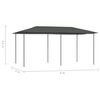 vidaXL Paviljong 2,98x5,3x2,59 m antrasitt 160 g/m²