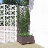 vidaXL Plantekasse med espalier brun 40x40x121,5 cm PP