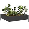 Miniatyrbilde av produktet 3 av 10