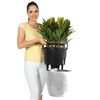 LECHUZA Plantekasse Classico 28 LS ALL-IN-ONE h&oslash;yglans hvit 16040