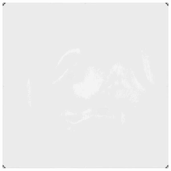 vidaXL Presenning med &oslash;yer Gjennomsiktig 2 x 2 m Polyethylen