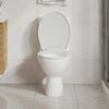 Miniatyrbilde av produktet 3 av 13
