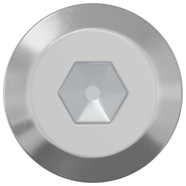 vidaXL Skrue 12 pcs s&oslash;lv M6 x 60 mm St&aring;l