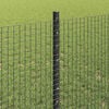Miniatyrbilde av produktet 4 av 13