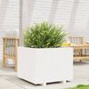 Miniatyrbilde av produktet 3 av 10