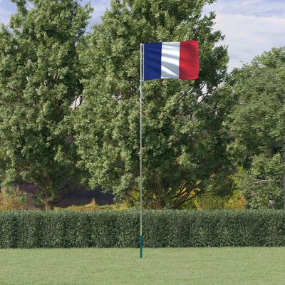 vidaXL Fransk flagg og stang 5,55 m aluminium