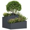 Miniatyrbilde av produktet 3 av 9